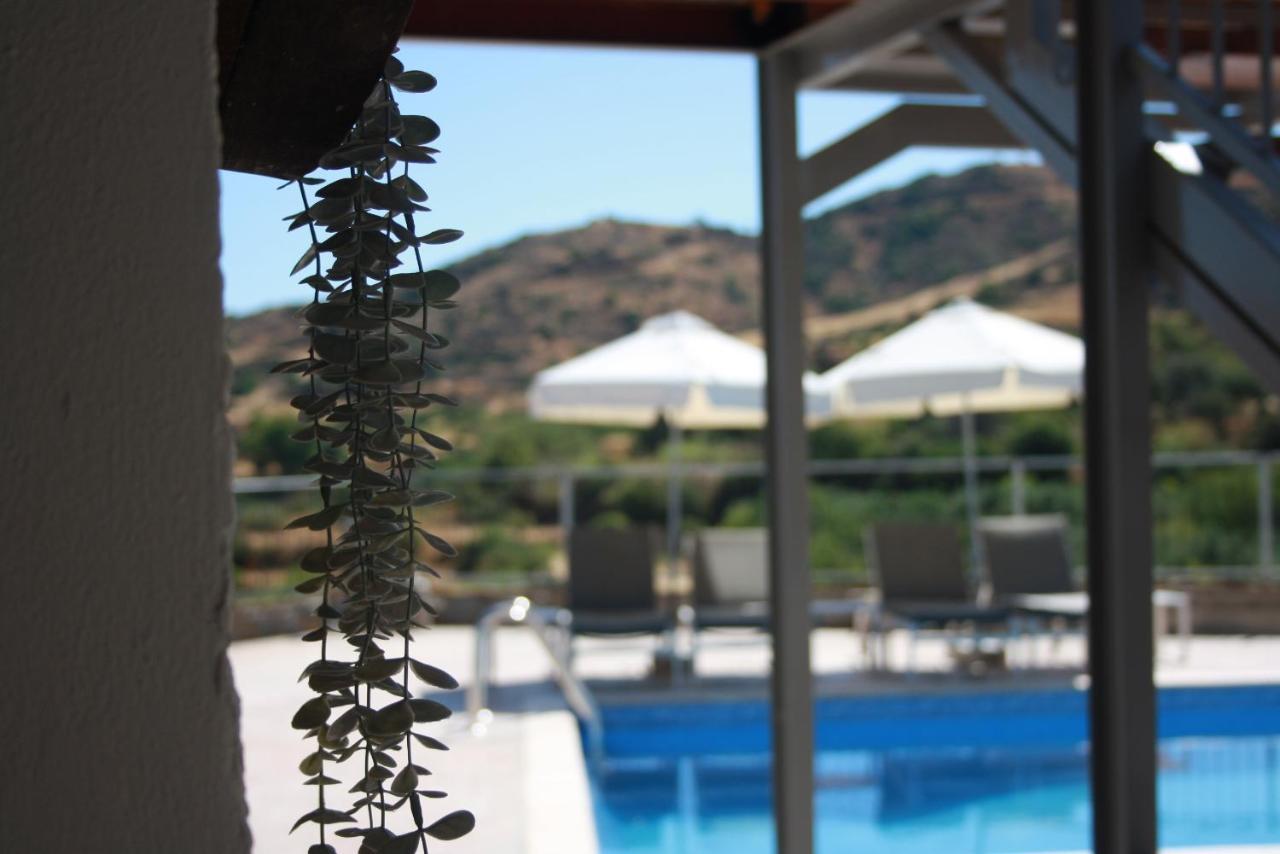 Holiday Apartments,Polynikis Sea-Cret, Pachyammos المظهر الخارجي الصورة
