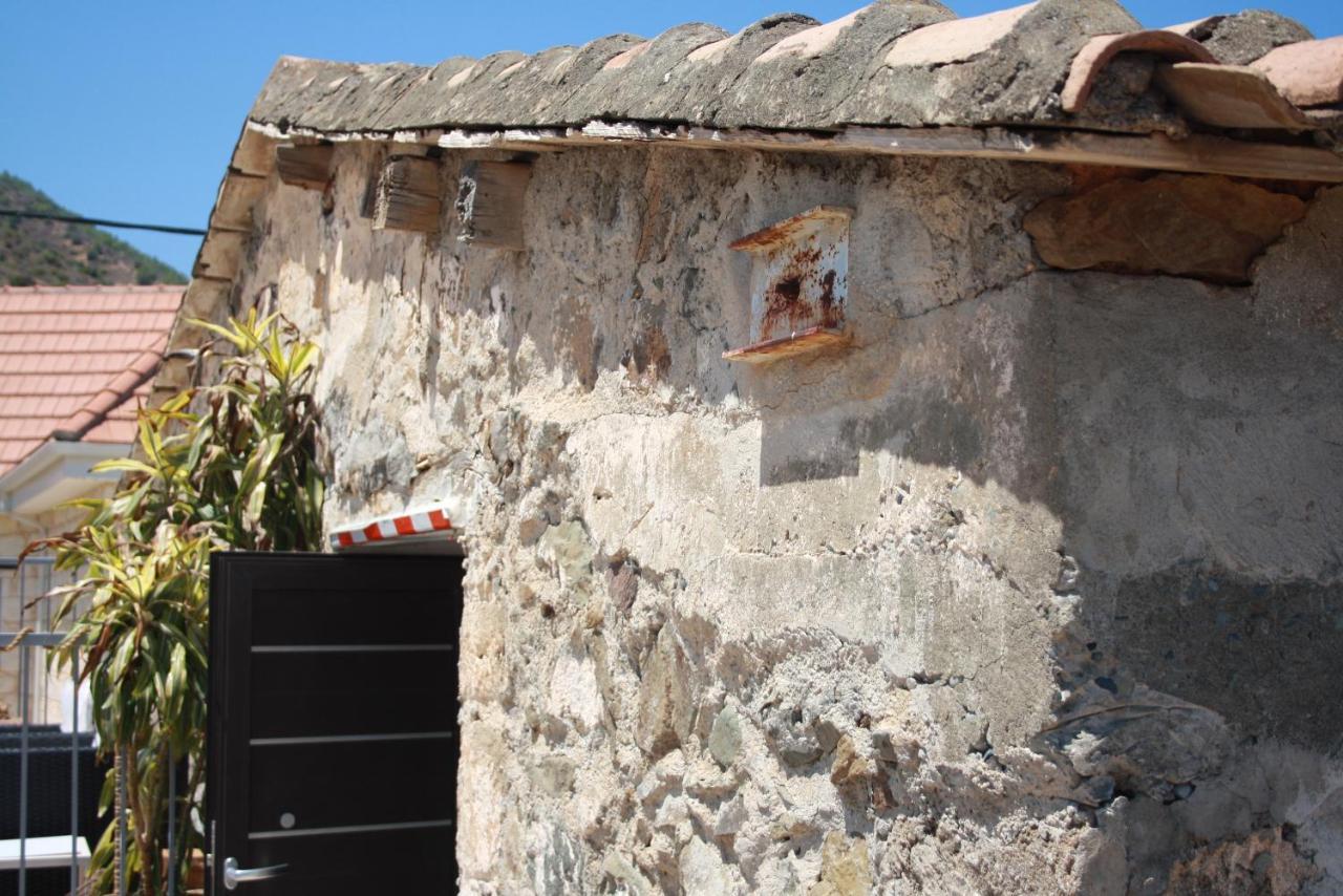 Holiday Apartments,Polynikis Sea-Cret, Pachyammos المظهر الخارجي الصورة